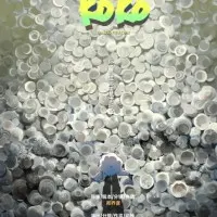 Постер аниме Коко